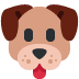:dog_face: :dog_face: